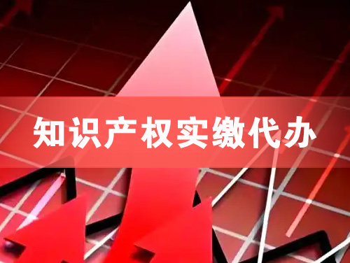 海林知识产权实缴资本代办